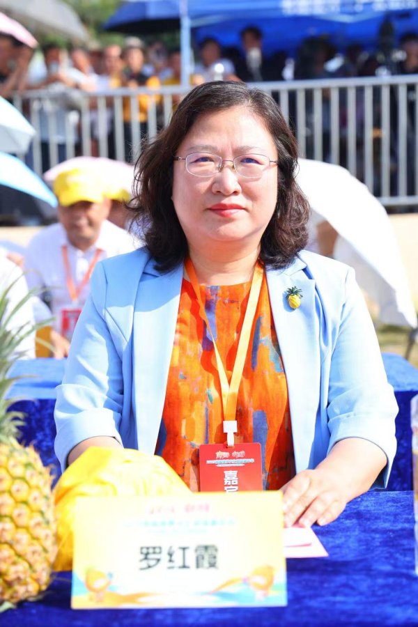 金多多配资 深耕“菠萝的海” 推动“百千万工程”结出硕果