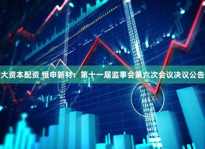 大资本配资 恒申新材：第十一届监事会第六次会议决议公告
